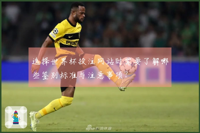 选择世界杯投注网站时需要了解哪些鉴别标准与注意事项？