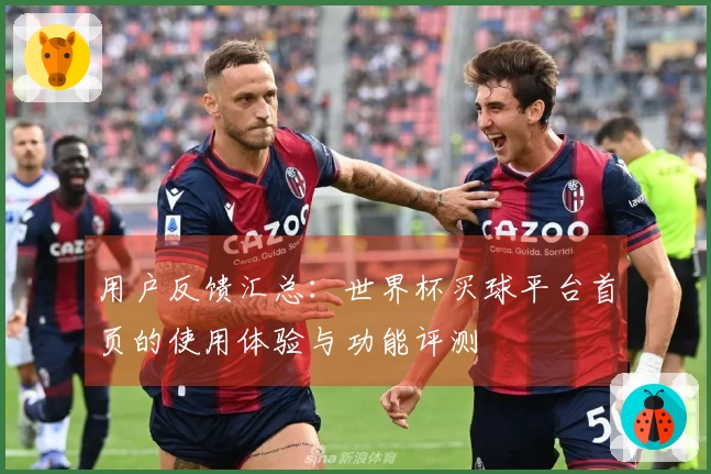 用户反馈汇总：世界杯买球平台首页的使用体验与功能评测