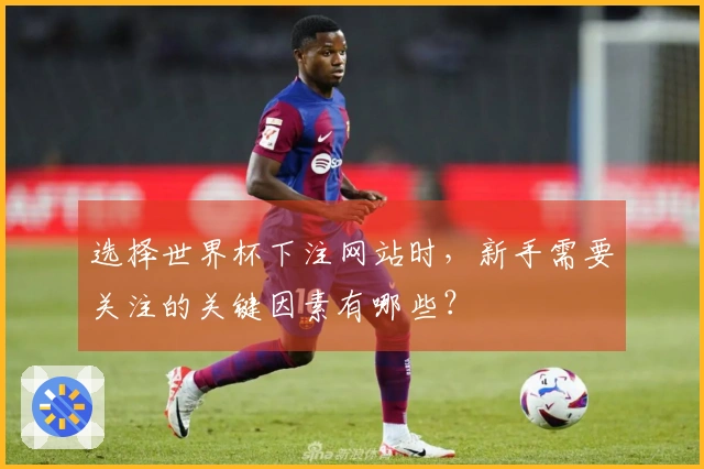 选择世界杯下注网站时，新手需要关注的关键因素有哪些？