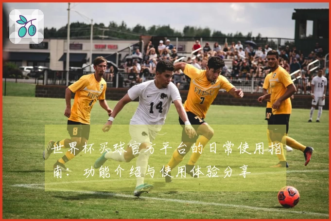 世界杯买球官方平台的日常使用指南：功能介绍与使用体验分享