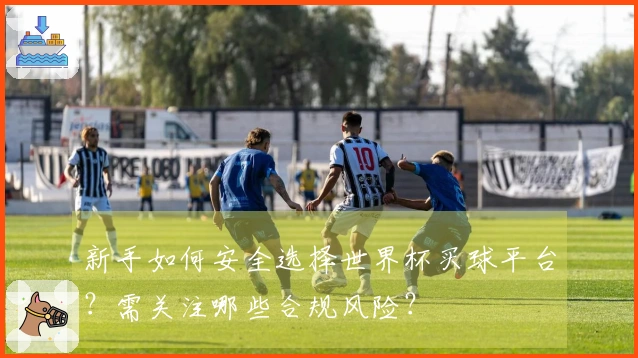 新手如何安全选择世界杯买球平台？需关注哪些合规风险？