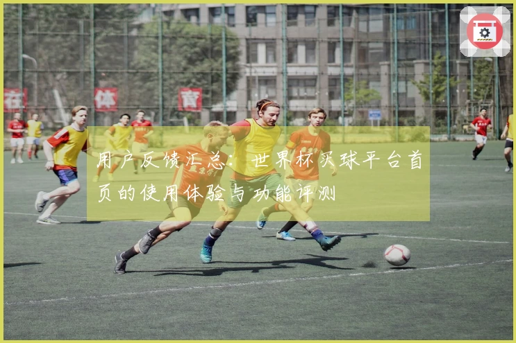 用户反馈汇总：世界杯买球平台首页的使用体验与功能评测