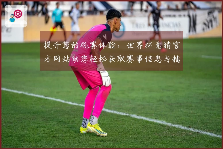 提升您的观赛体验，世界杯竞猜官方网站助您轻松获取赛事信息与精彩直播