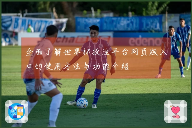 全面了解世界杯投注平台网页版入口的使用方法与功能介绍