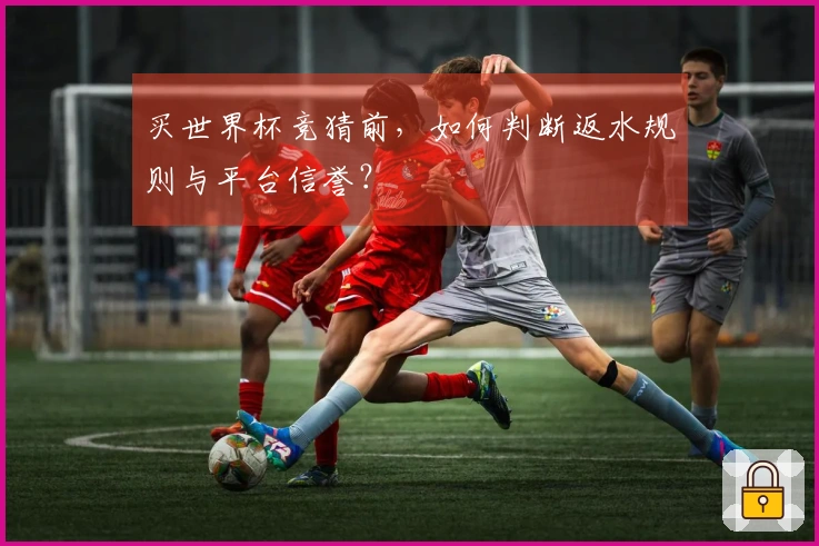买世界杯竞猜前，如何判断返水规则与平台信誉？