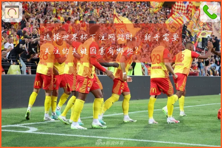 选择世界杯下注网站时，新手需要关注的关键因素有哪些？