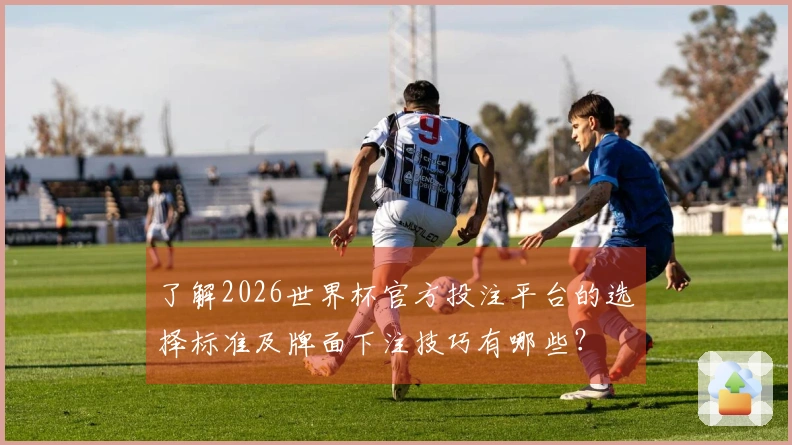 了解2026世界杯官方投注平台的选择标准及牌面下注技巧有哪些？