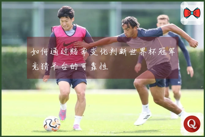 如何通过赔率变化判断世界杯冠军竞猜平台的可靠性