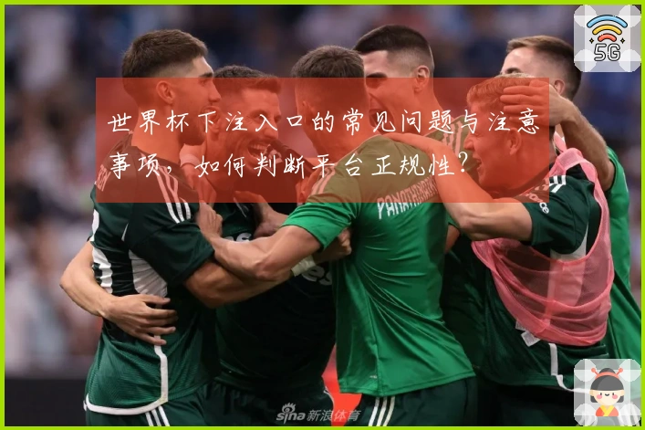 世界杯下注入口的常见问题与注意事项，如何判断平台正规性？
