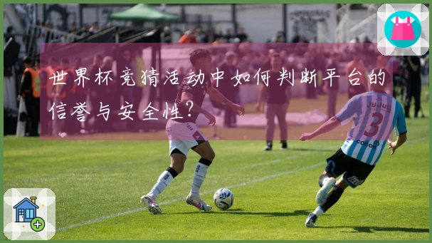 世界杯竞猜活动中如何判断平台的信誉与安全性？