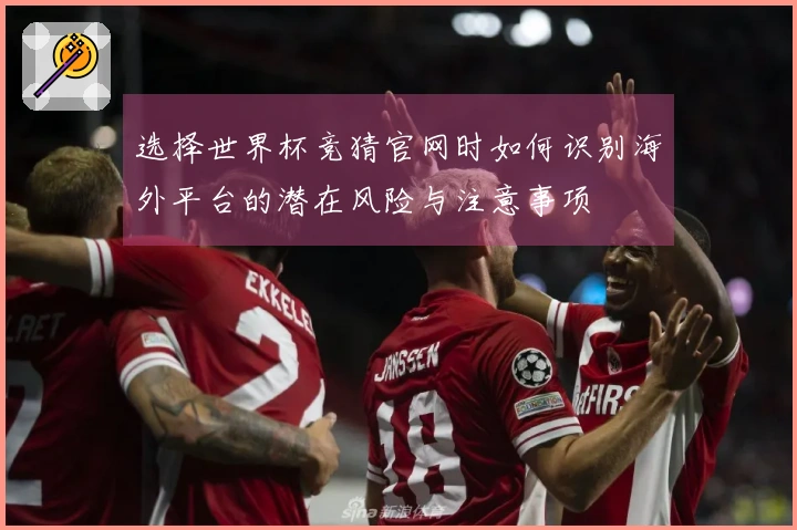 选择世界杯竞猜官网时如何识别海外平台的潜在风险与注意事项