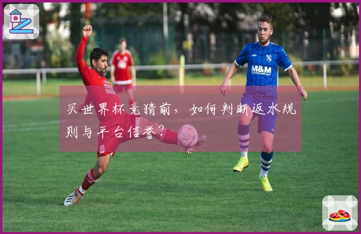 买世界杯竞猜前，如何判断返水规则与平台信誉？