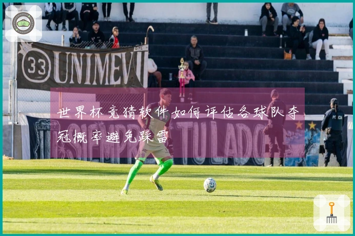 世界杯竞猜软件如何评估各球队夺冠概率避免踩雷