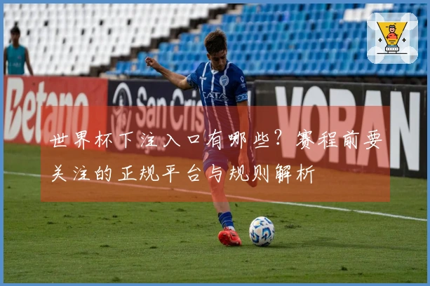 世界杯下注入口有哪些？赛程前要关注的正规平台与规则解析