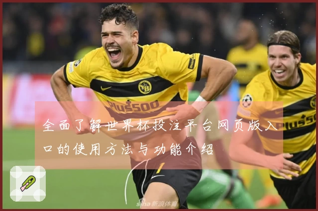 全面了解世界杯投注平台网页版入口的使用方法与功能介绍