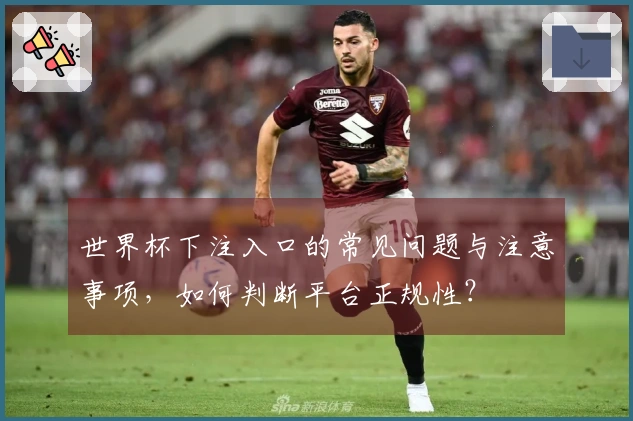 世界杯下注入口的常见问题与注意事项，如何判断平台正规性？